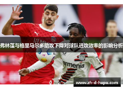 弗林蓬与格里马尔多助攻下降对球队进攻效率的影响分析 弗林蓬与格里马尔多助攻下降对球队进攻效率的影响分析