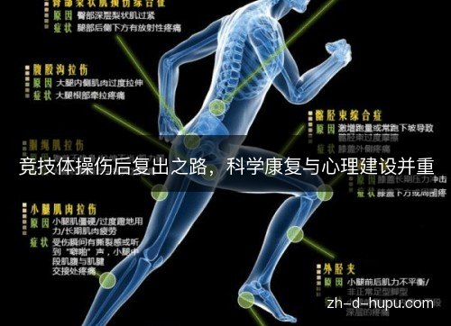 竞技体操伤后复出之路，科学康复与心理建设并重