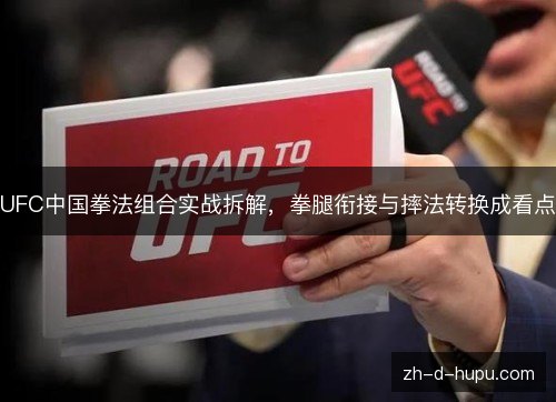 UFC中国拳法组合实战拆解，拳腿衔接与摔法转换成看点
